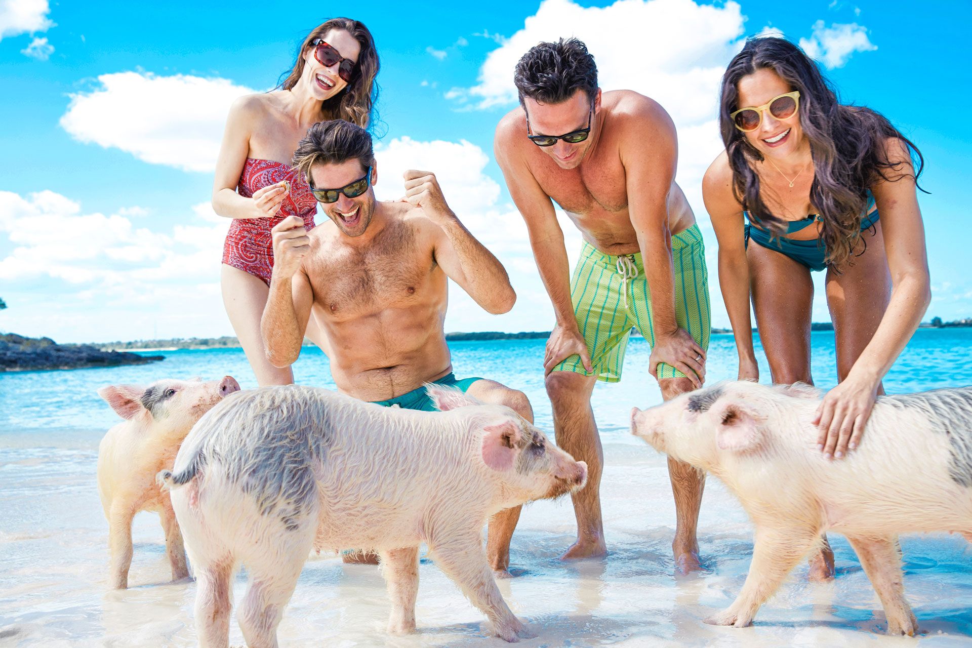 Group tour on Pig Island