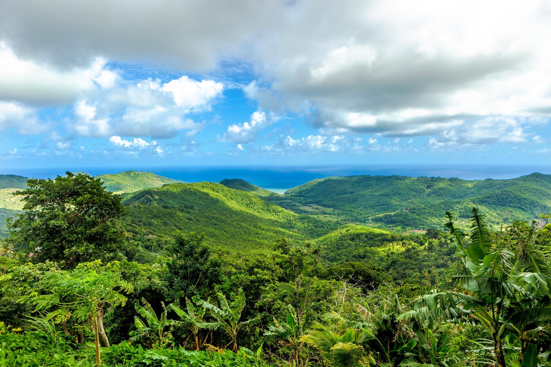 Green St. Lucia Mountain Range