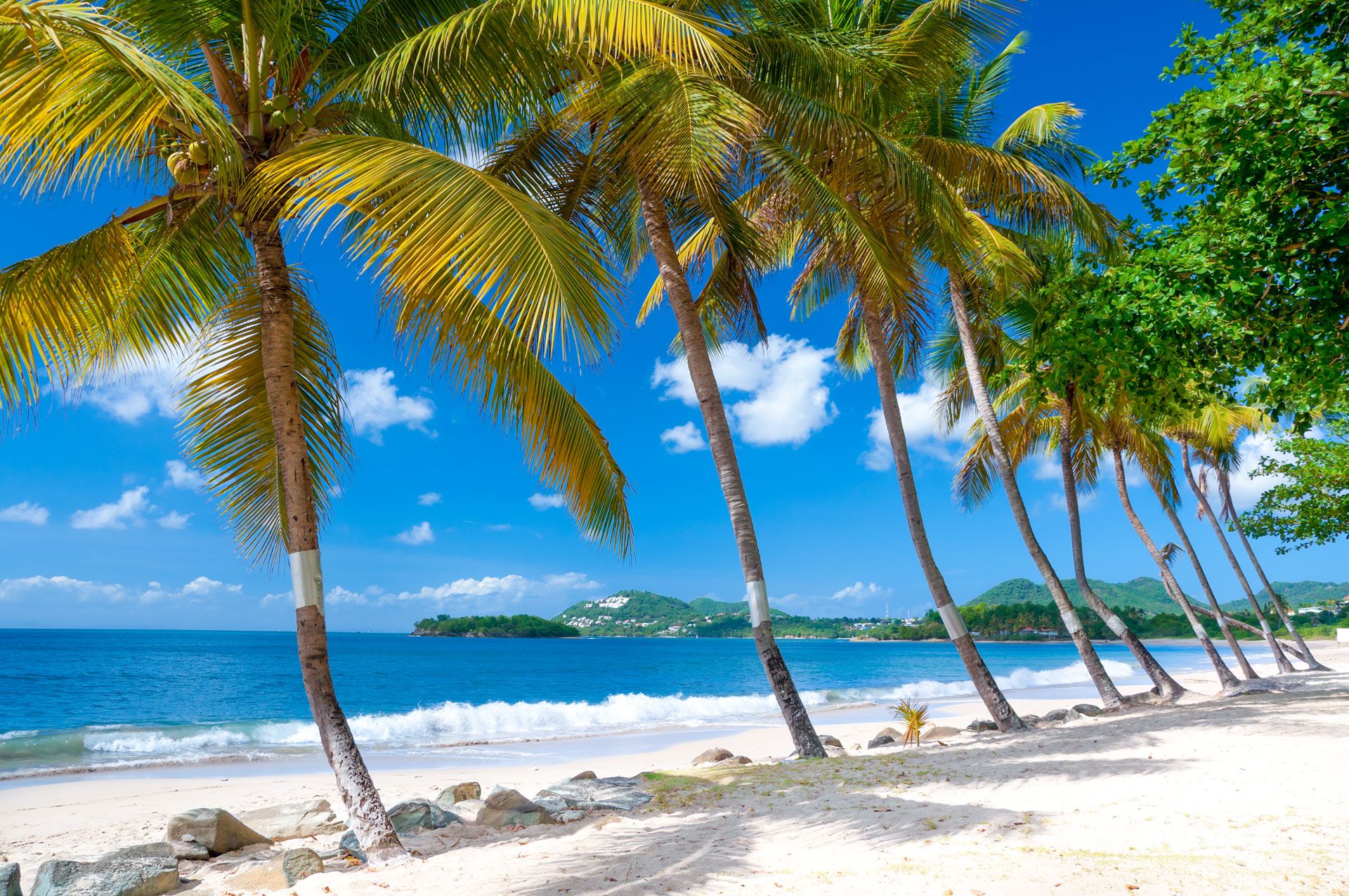 Best Time To Visit St Lucia: Seasonality, Weather & Events 