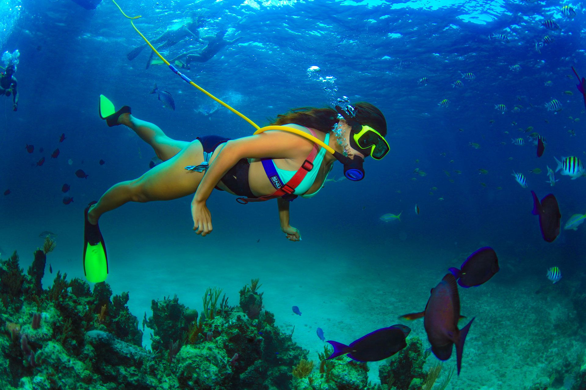 woman snuba diving
