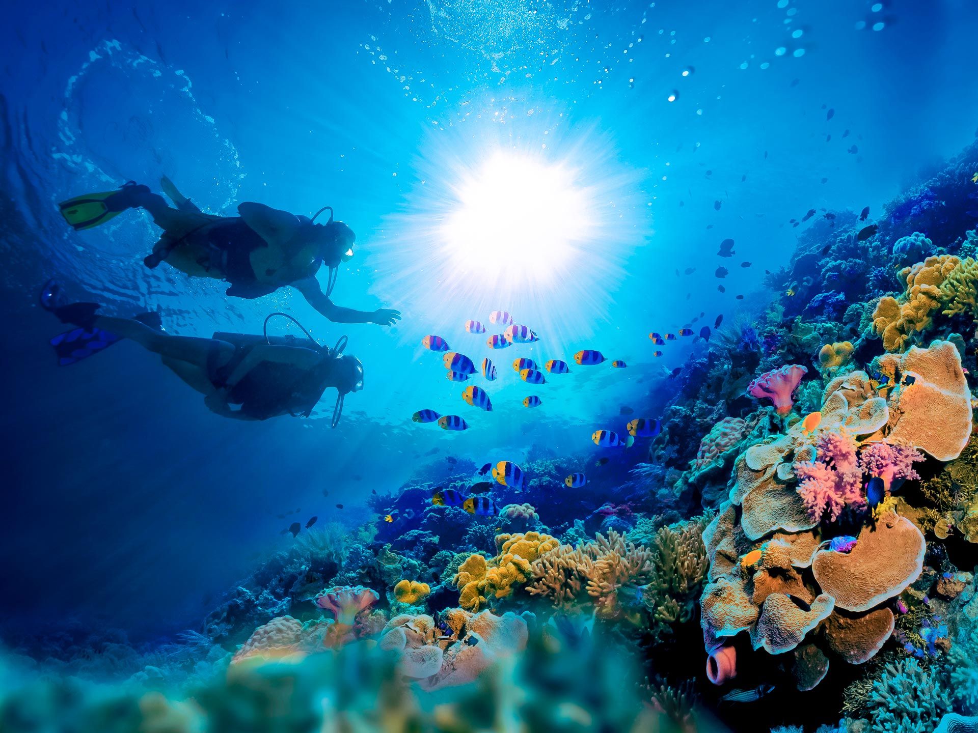 78 Fun Things To Do In Nassau, The Bahamas Sandals