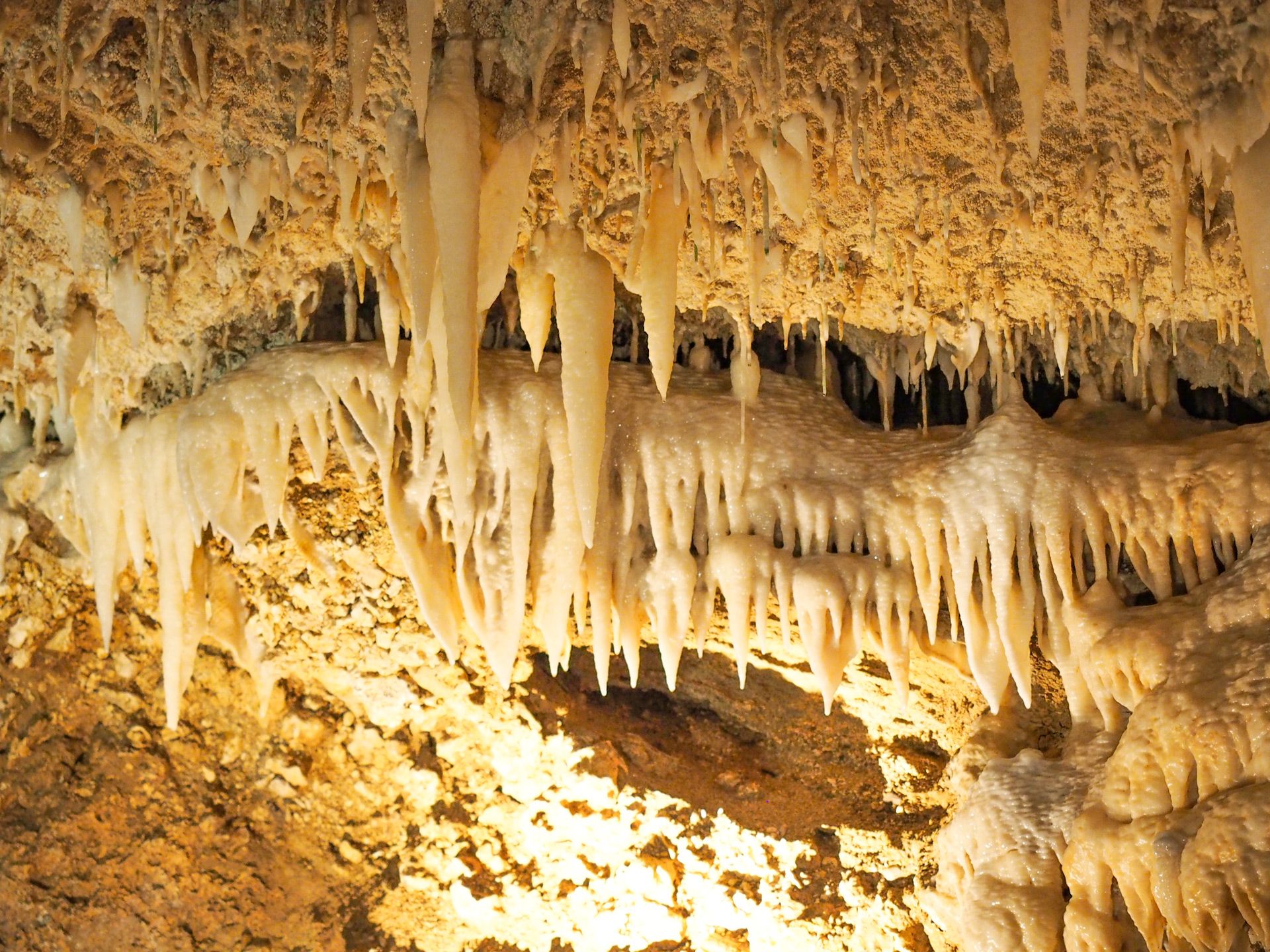 Harrison's Cave Barbados stalagmites