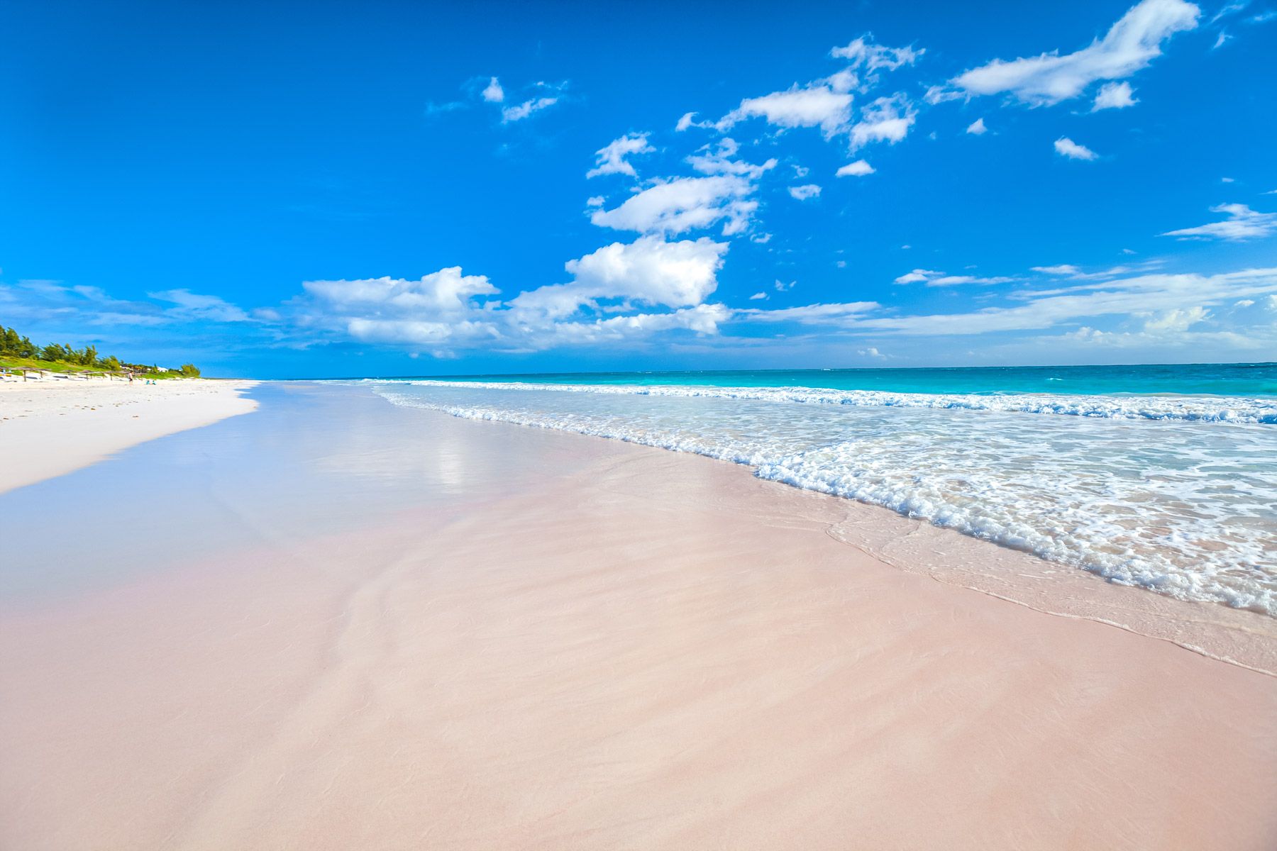 Pink Sand Beach Bahamas Harbour island
