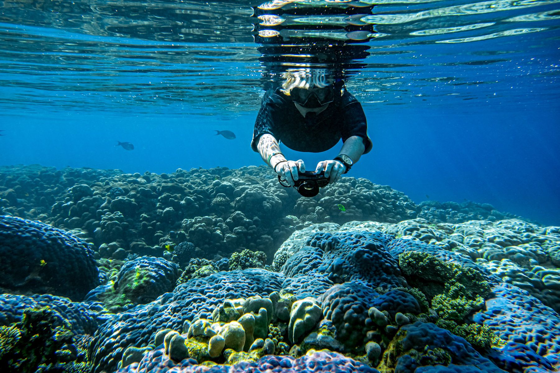 woman takes photo underwater