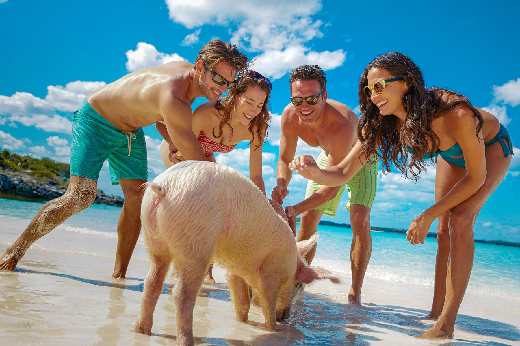 guests petting pig in pig island