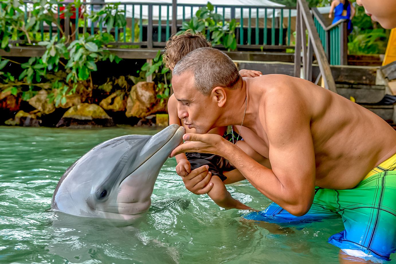 Dolphin Swim Jamaica