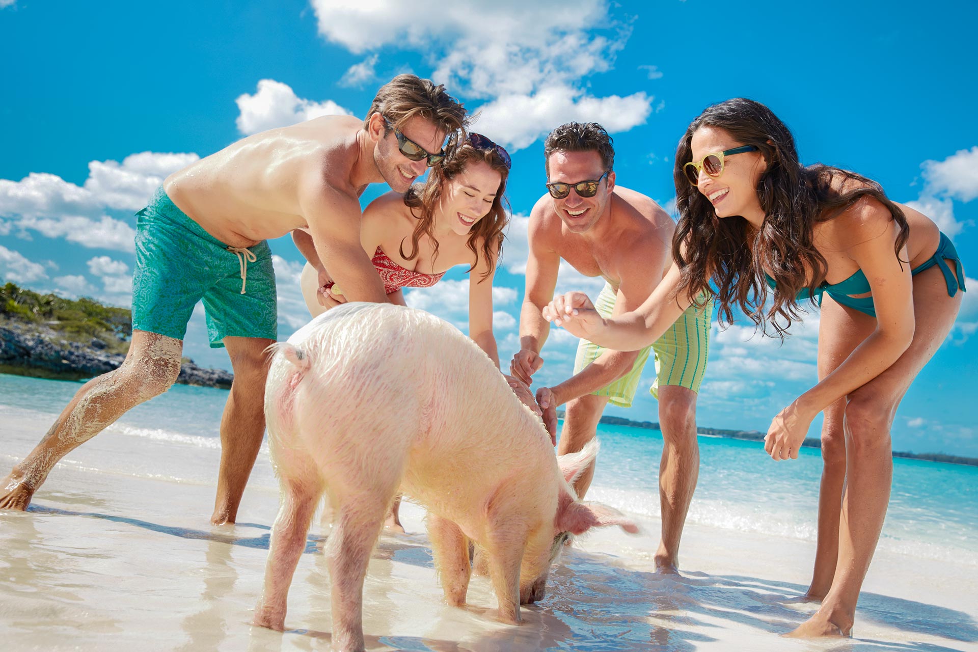 Pig Island Bahamas