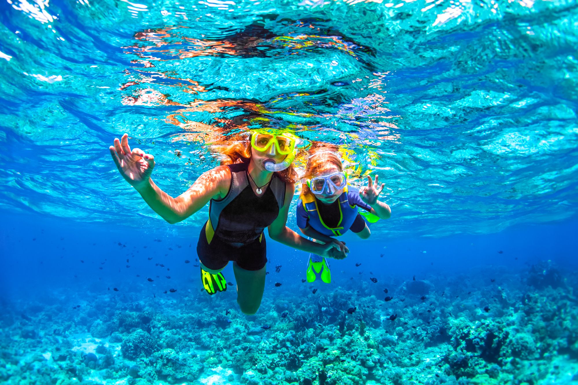 Snorkeling Bahamas