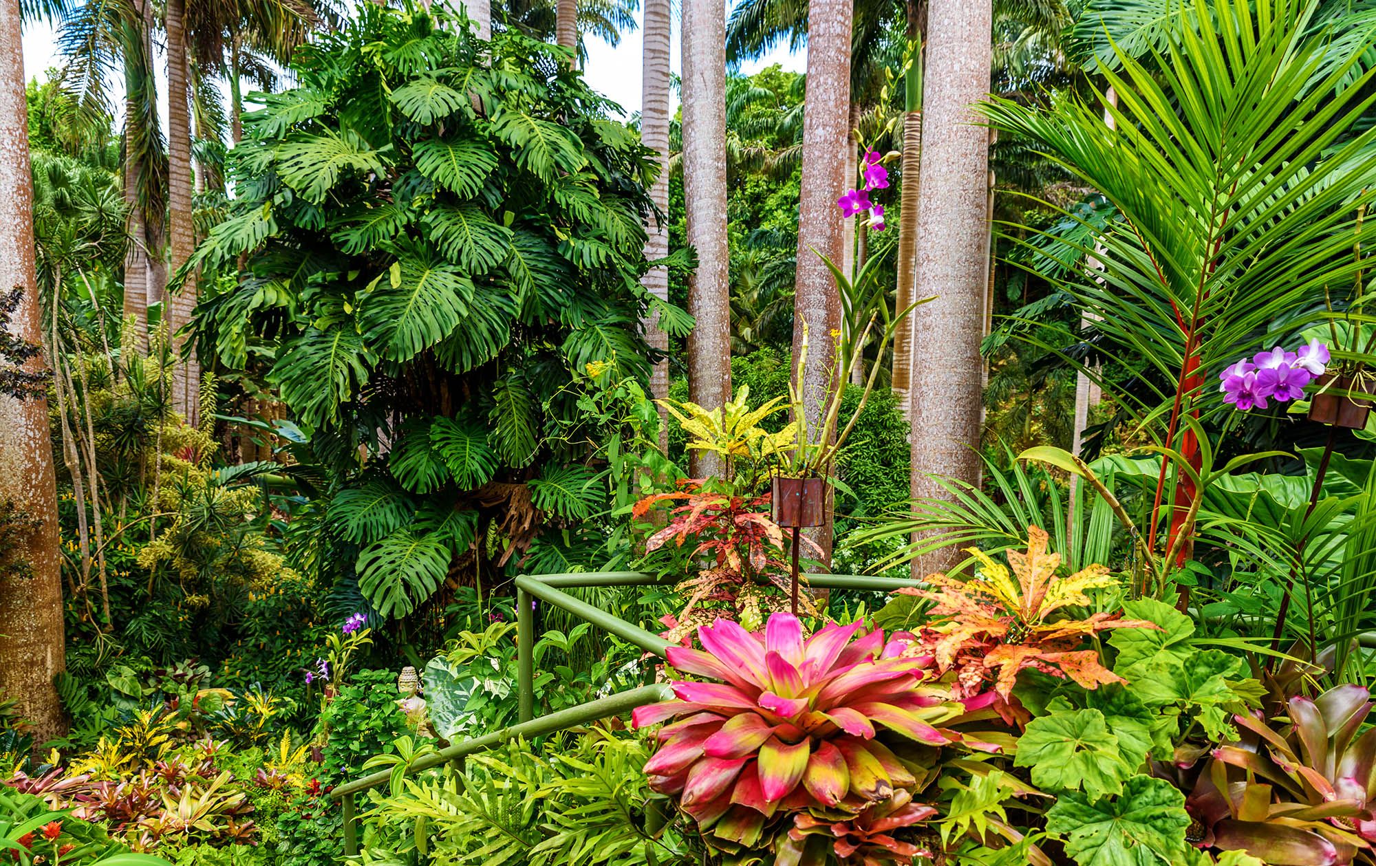 Barbados Huntes Gardens