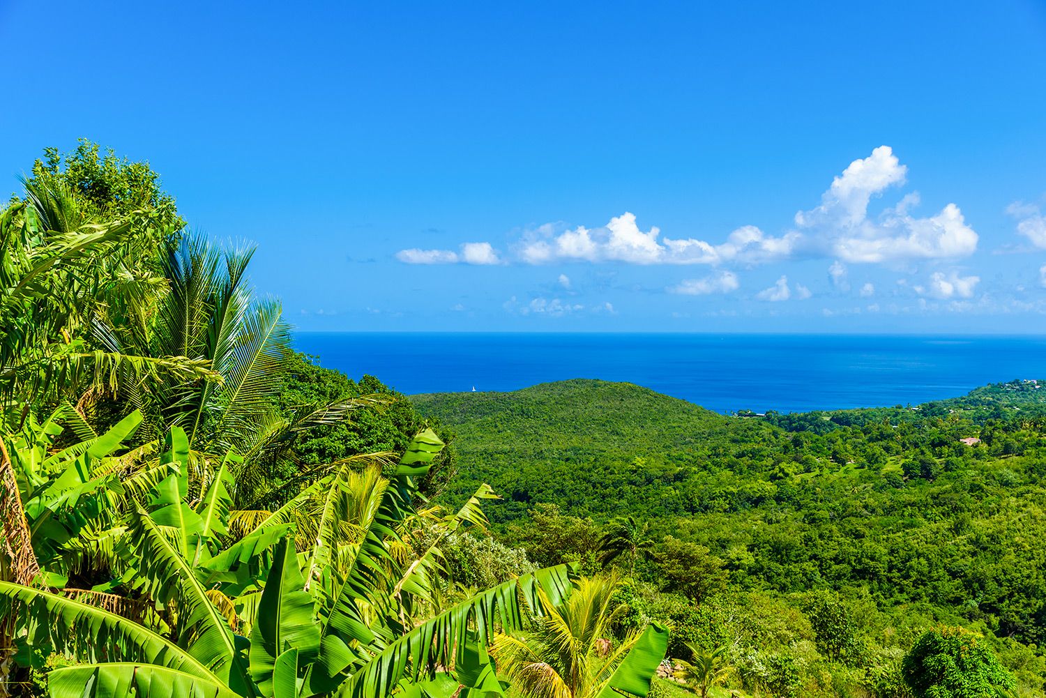 Saint St Lucia boissons Coaster-Piton montagnes Caribbean Travel Cool Cadeau #8987