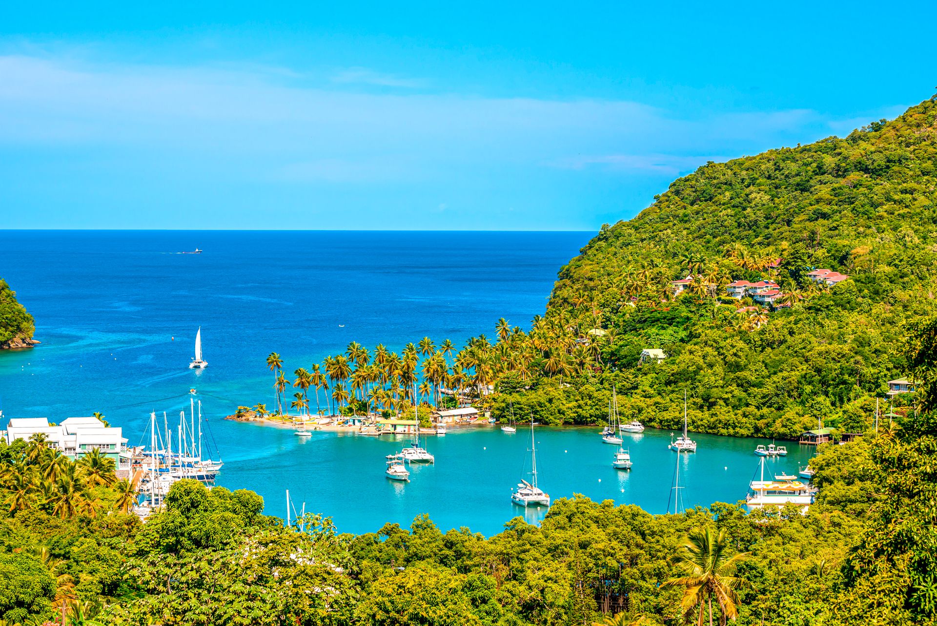 island tours st lucia