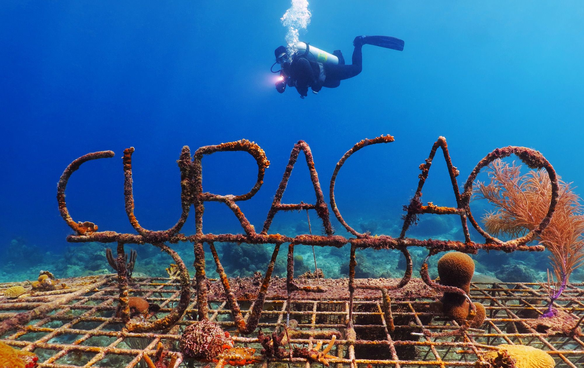 Scuba-Dive-Curacao