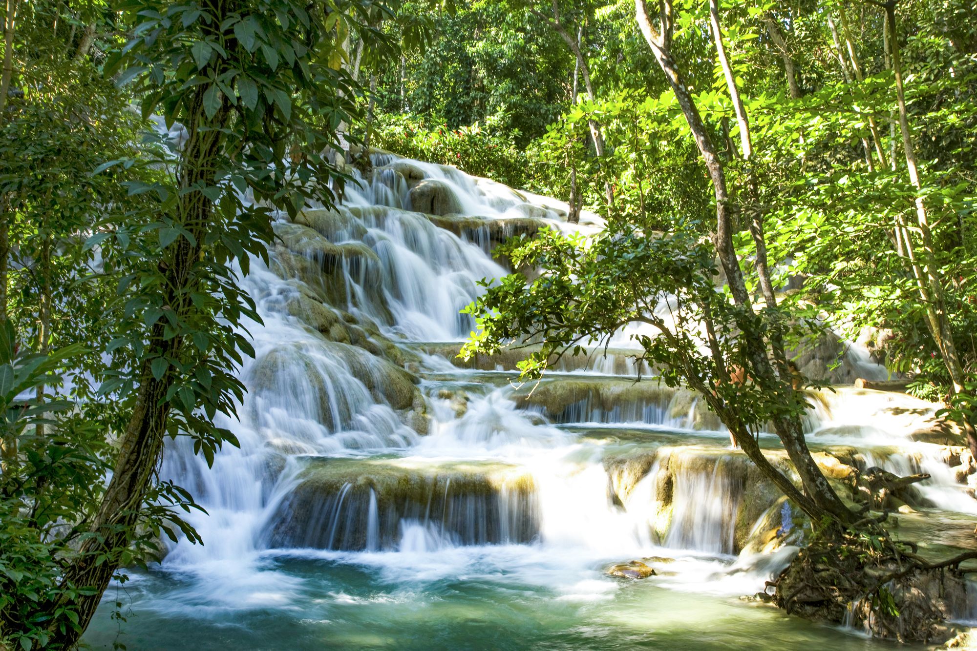 The 26 Best Tropical Waterfalls In The Caribbean SANDALS