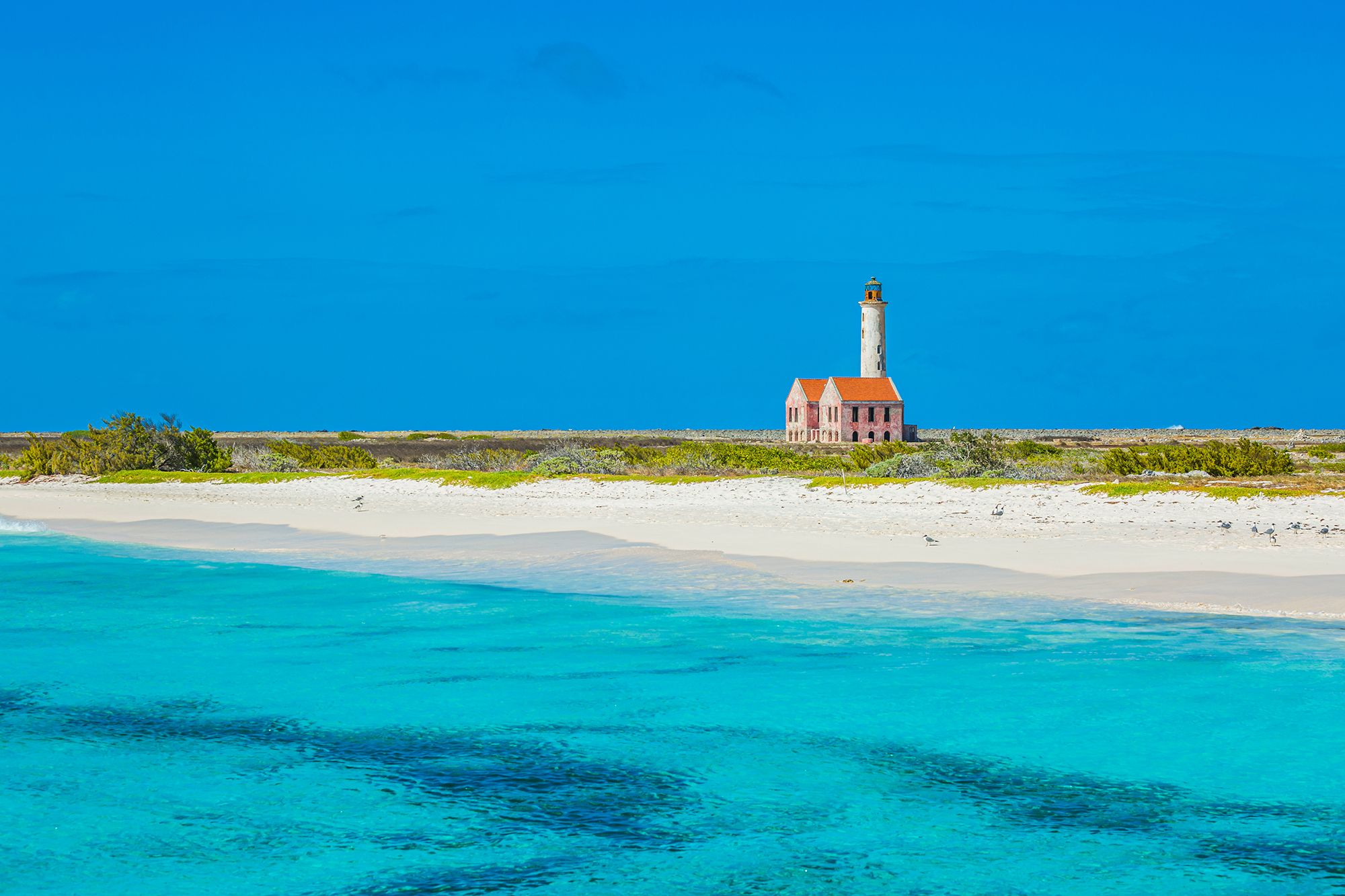 Klein Curacao Snorkeling