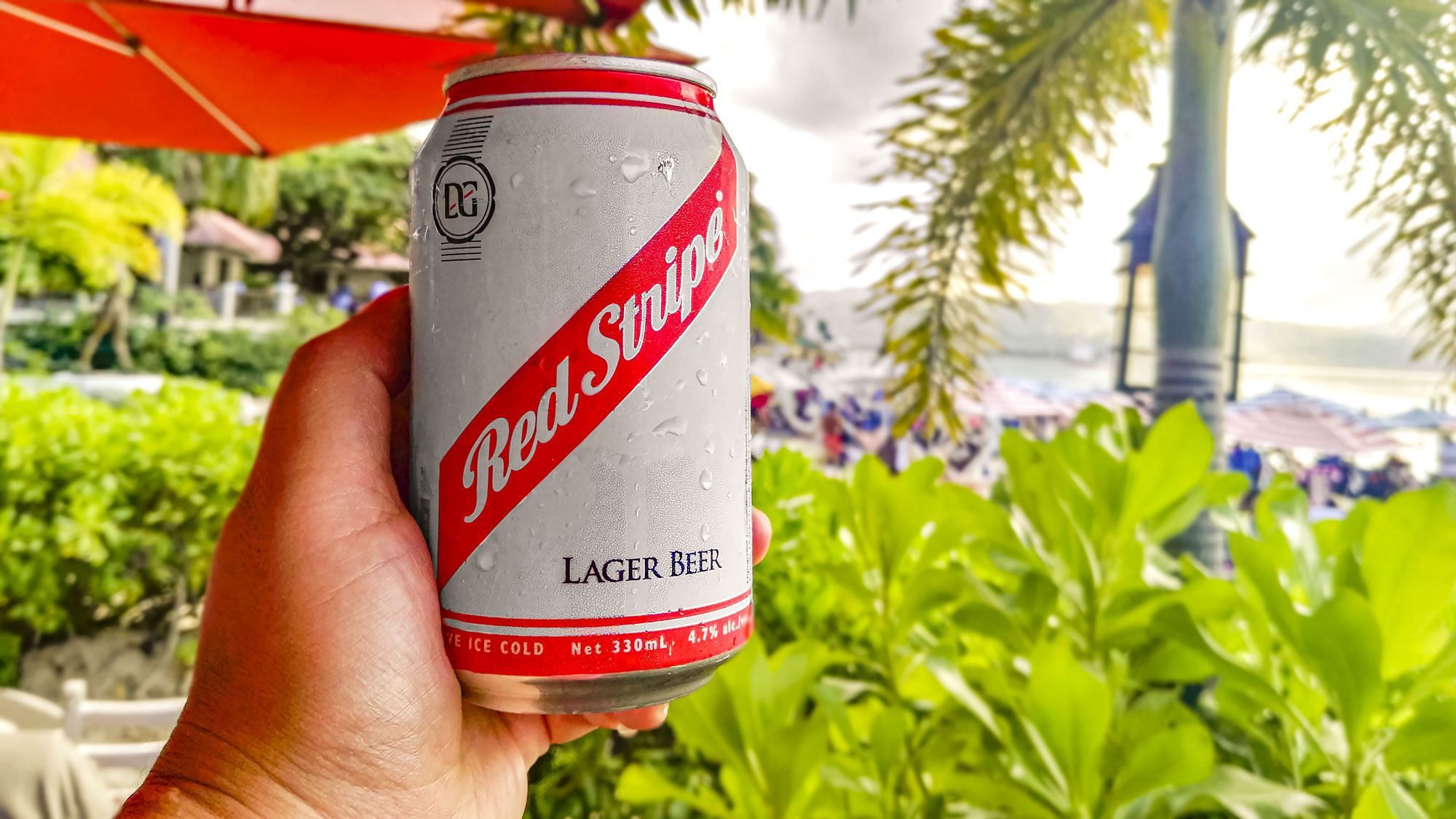 Enjoy These 32 Popular Local Beers In The Caribbean
