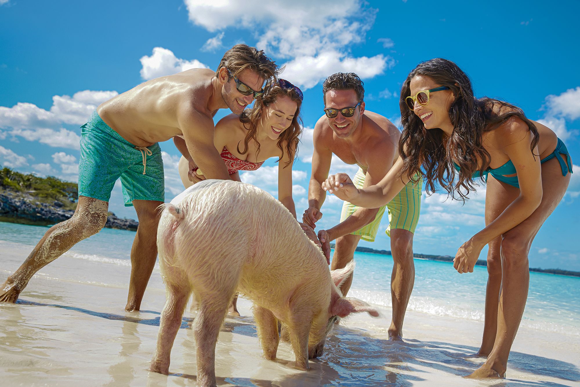 Pig Island Exuma Bahamas