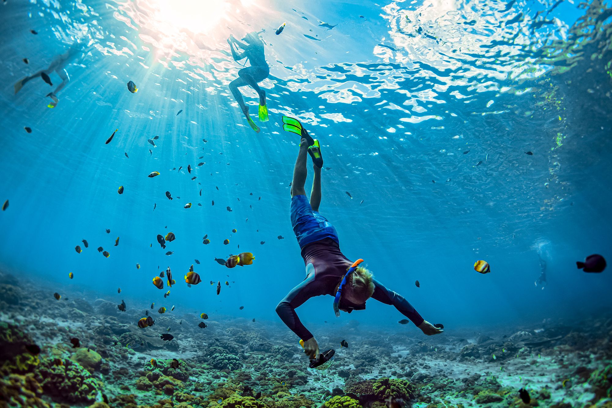 snorkeling tour jamaica