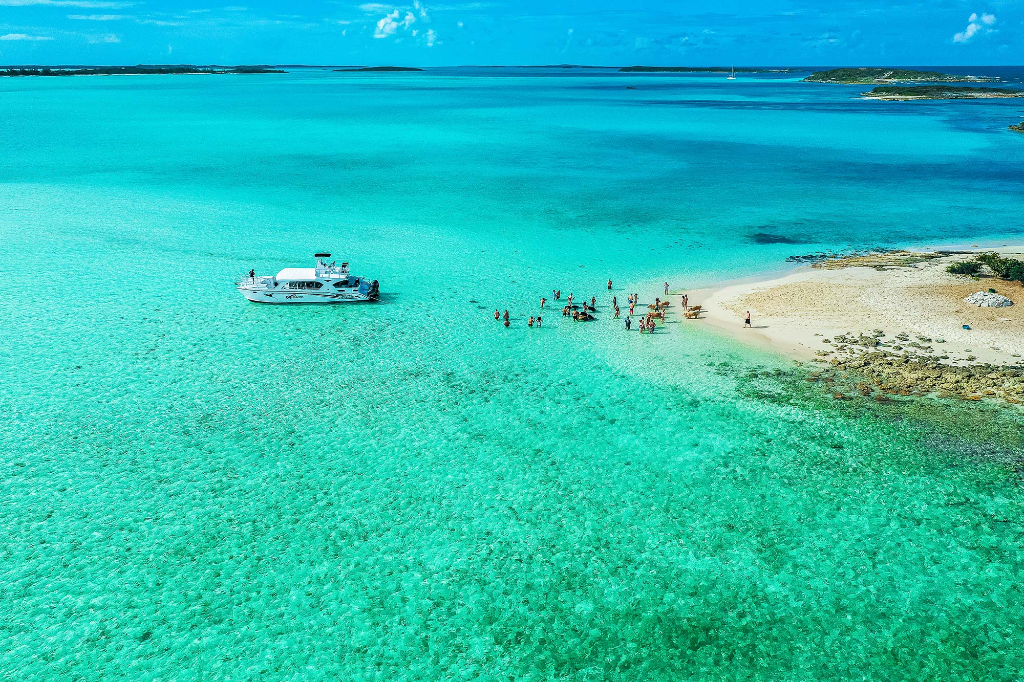 Great Exuma Tour Bahamas Pig Island