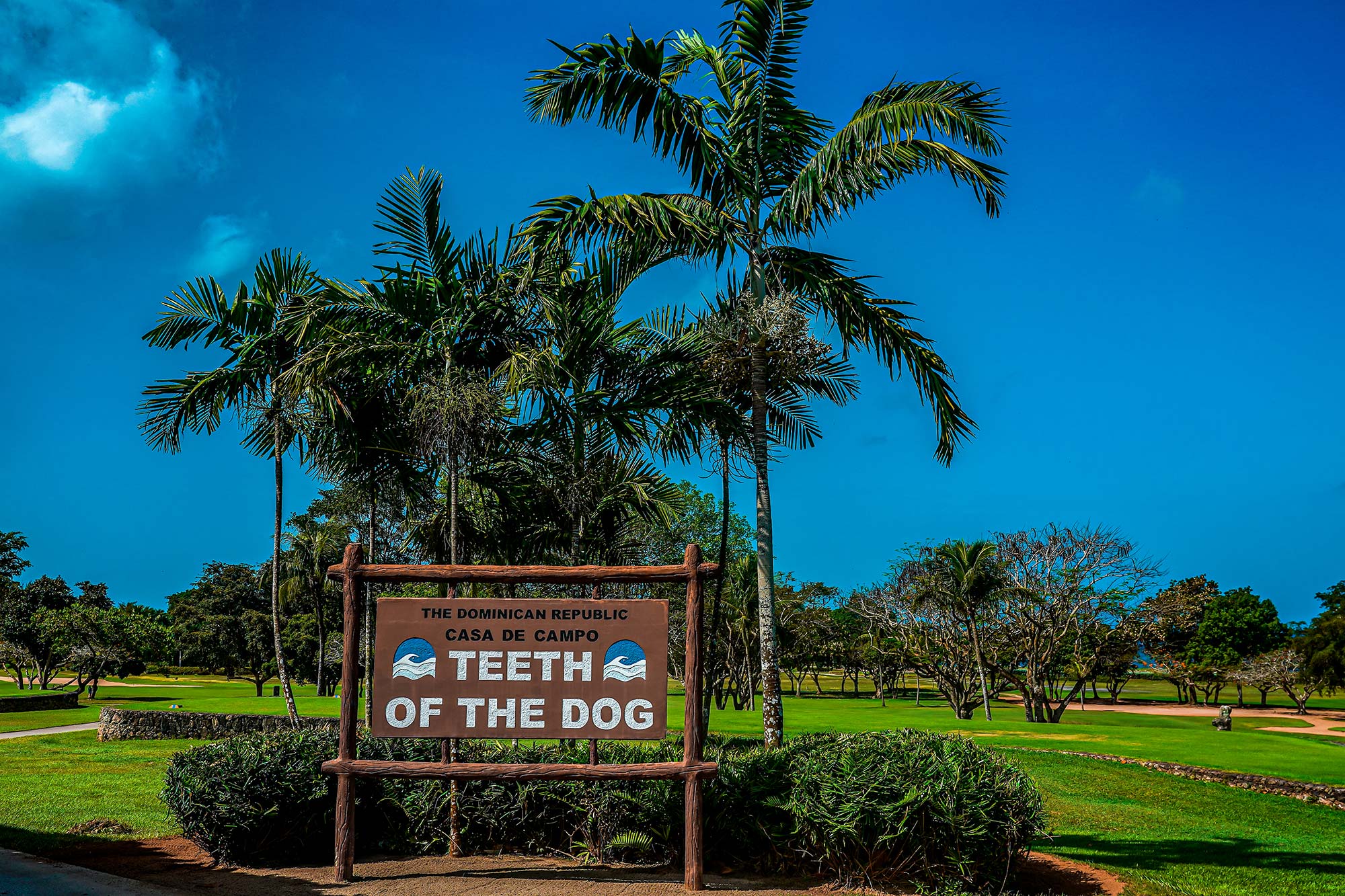 Teeth Dog Dominican Republic Golf Course