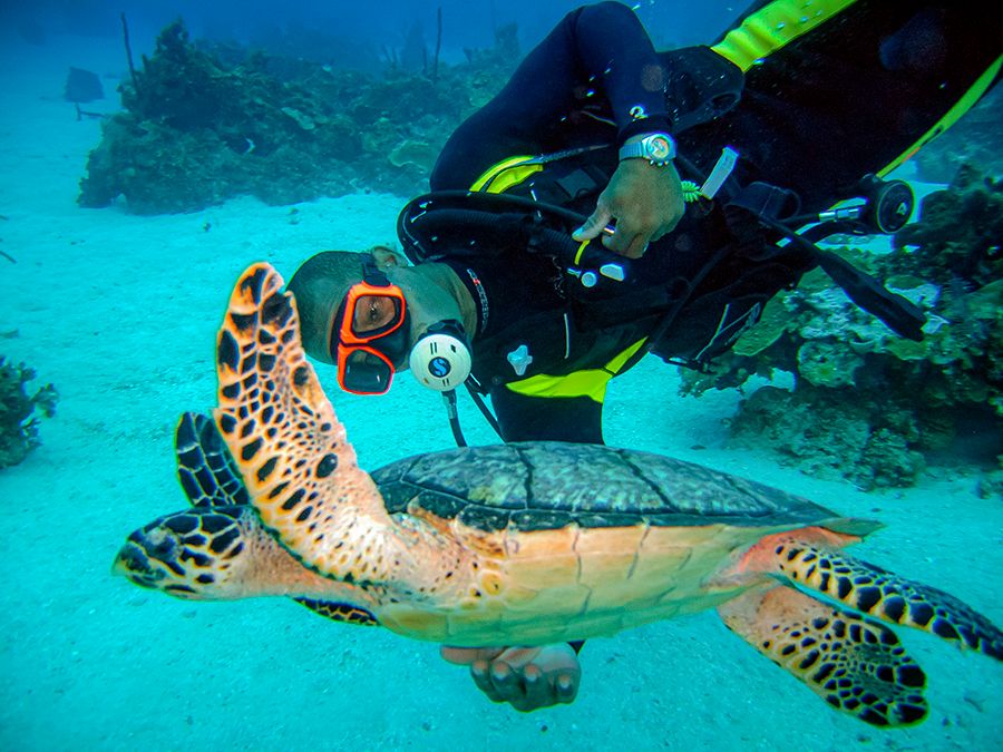 III. Factors to Consider When Choosing a Dive Site in the Caribbean
