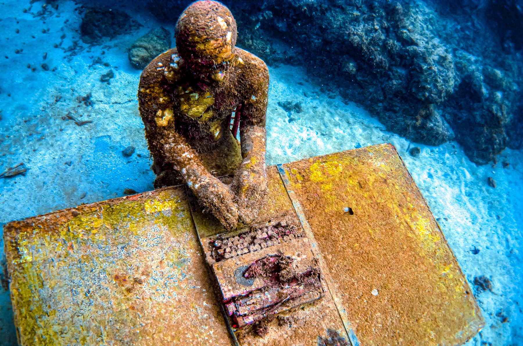 Grenada Scuba Diving Molinere Sculpture Park Writer