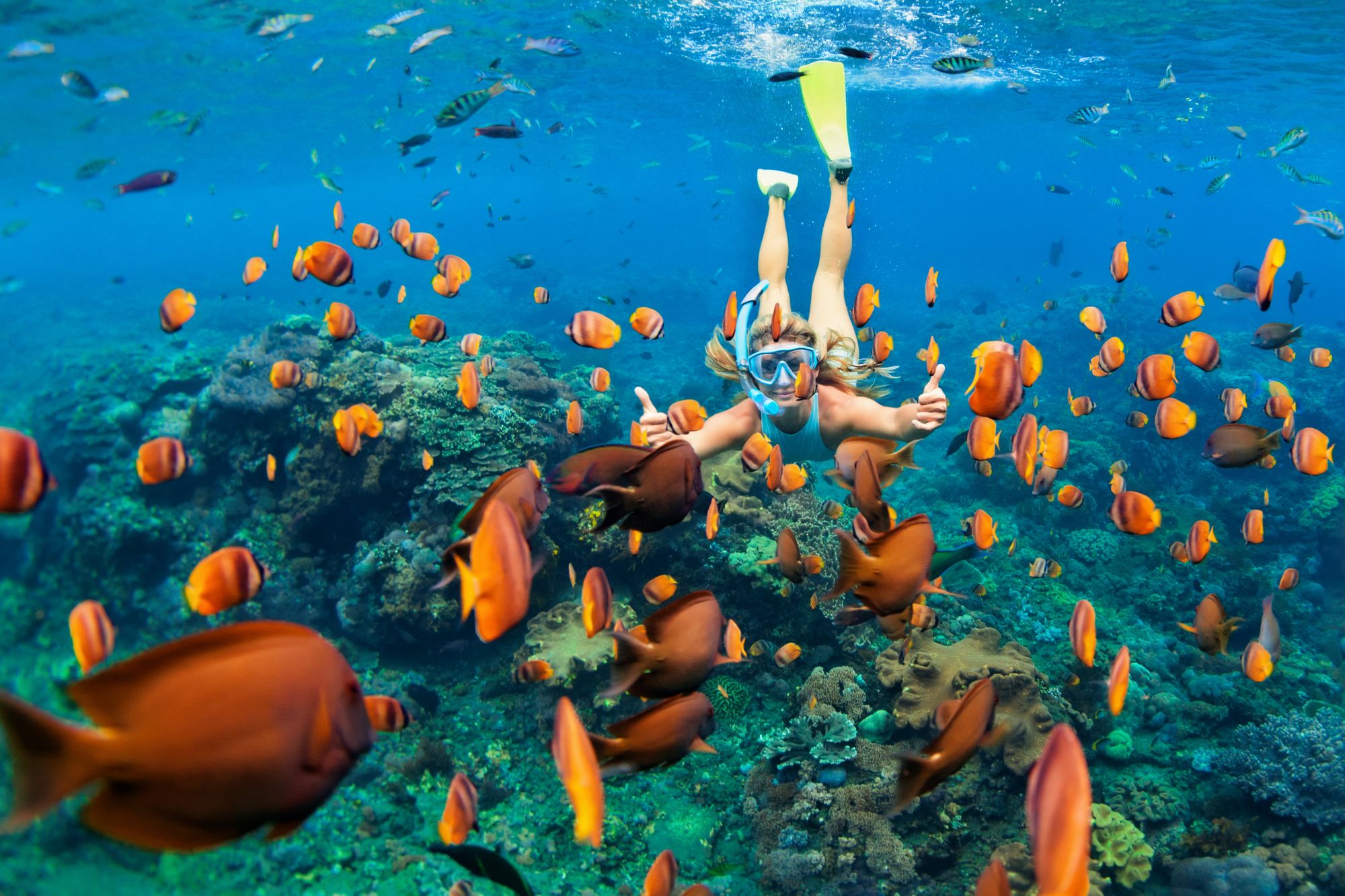 The Best Snorkeling In The Caribbean For An Exceptional Underwater Adventure!