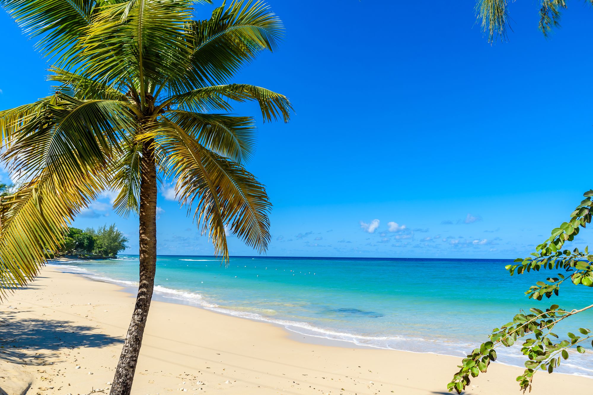 Scenic, Breezy & Tropical — Here’s What You’ll Love About Mullins Beach