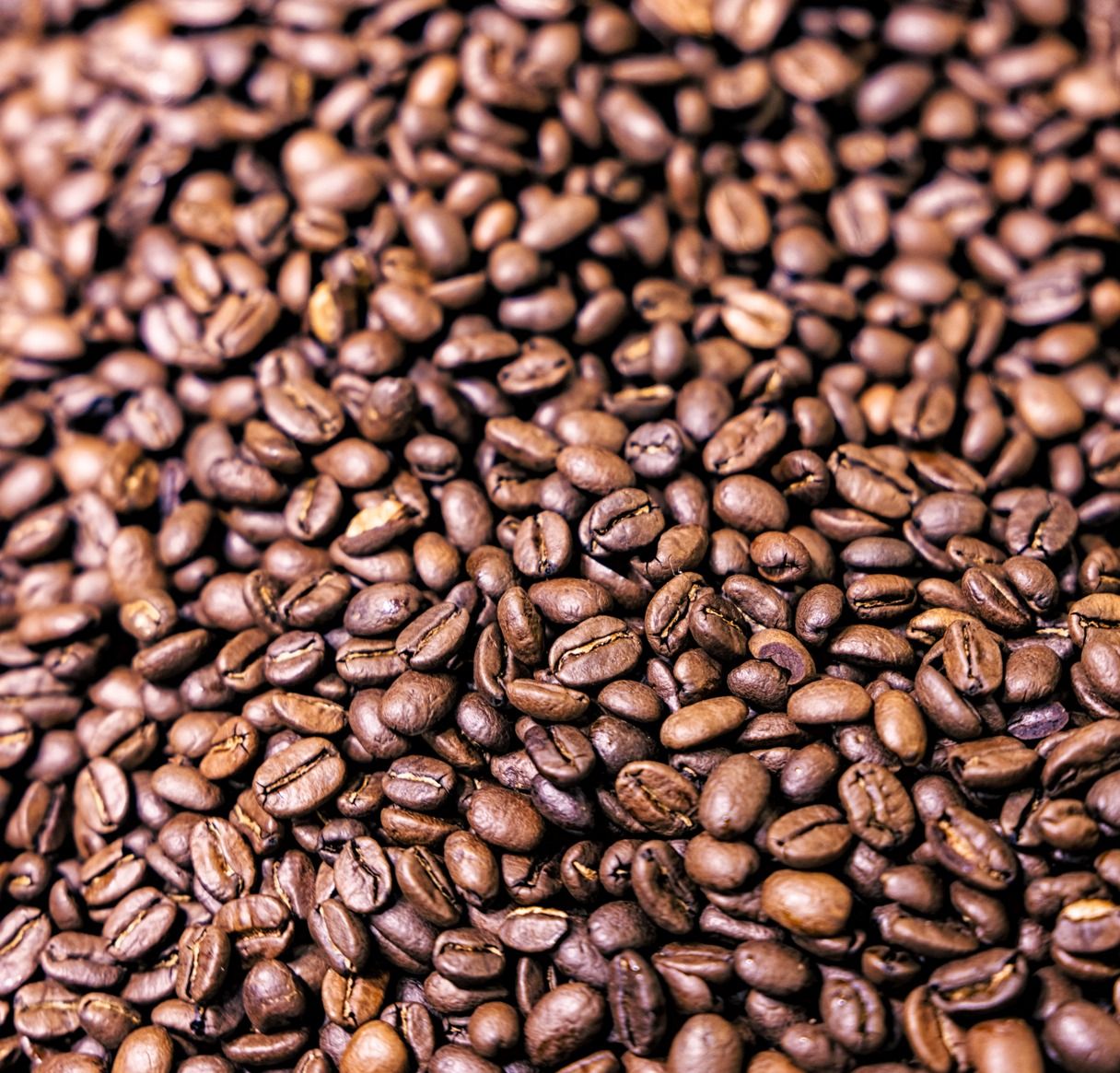Blue-Mountain-roasted-coffee-beans