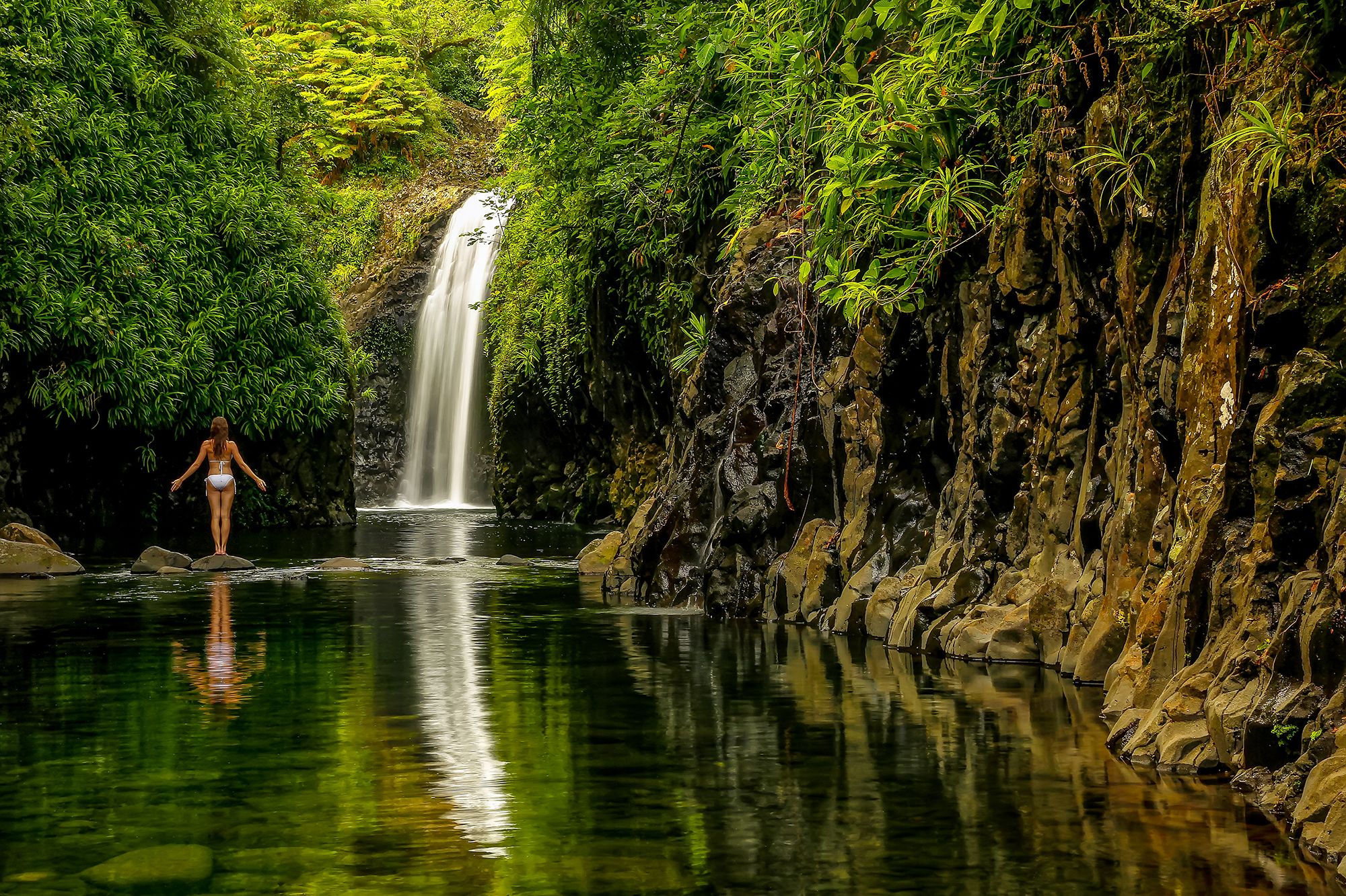 Fiji Waterfall Tourist