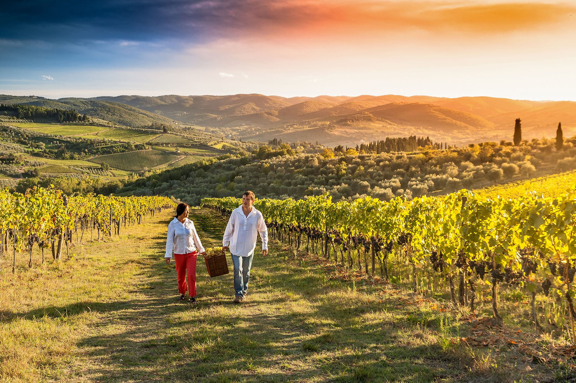 Napa Valley California Couple Winery