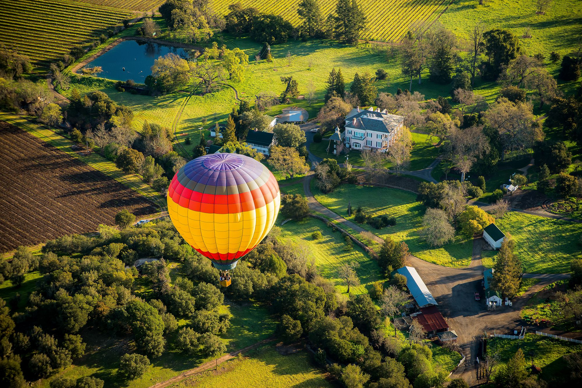 Napa Valley California Hot Air Balloon View