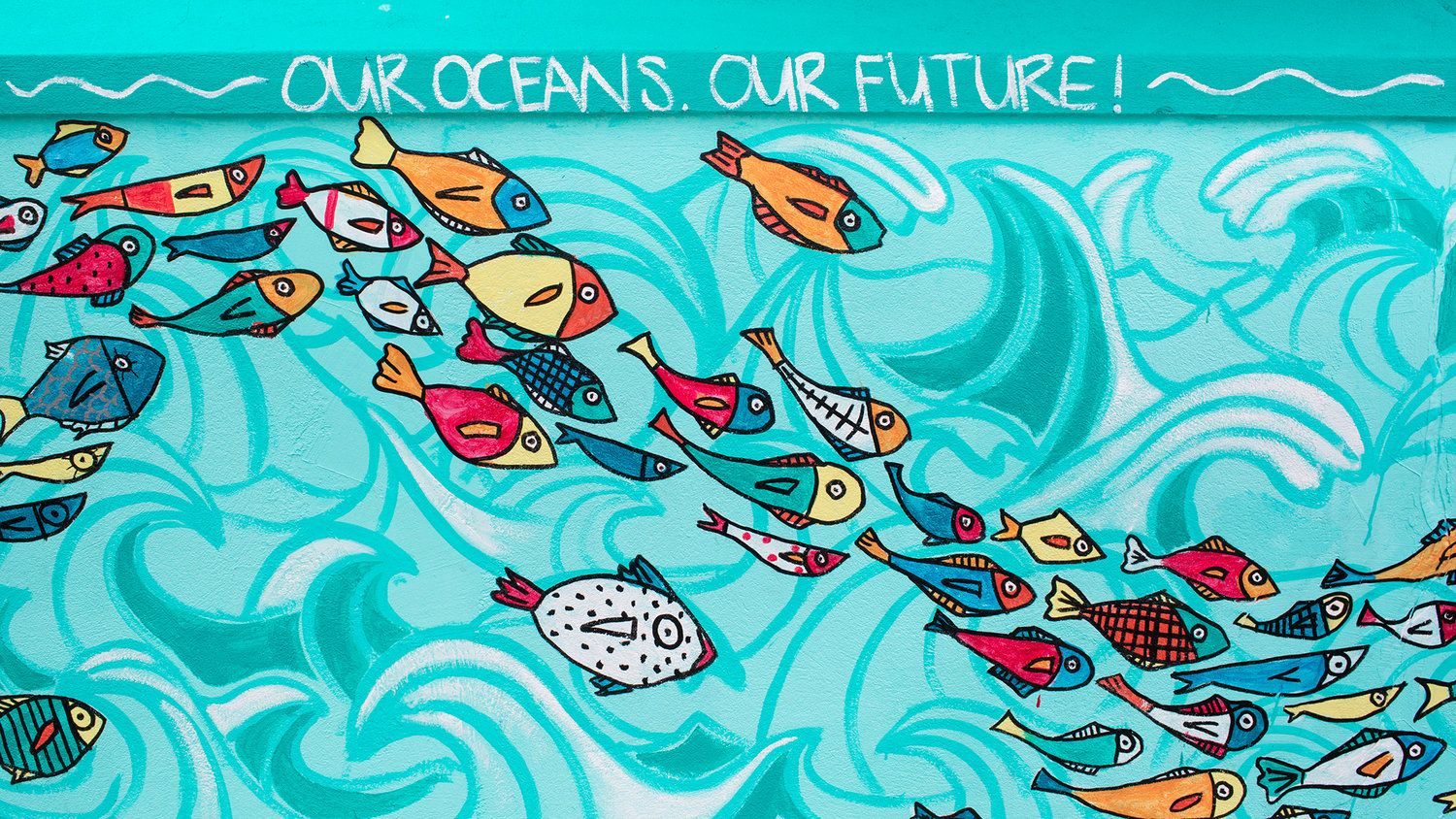 World Oceans Day: Celebrating the Sea We Share