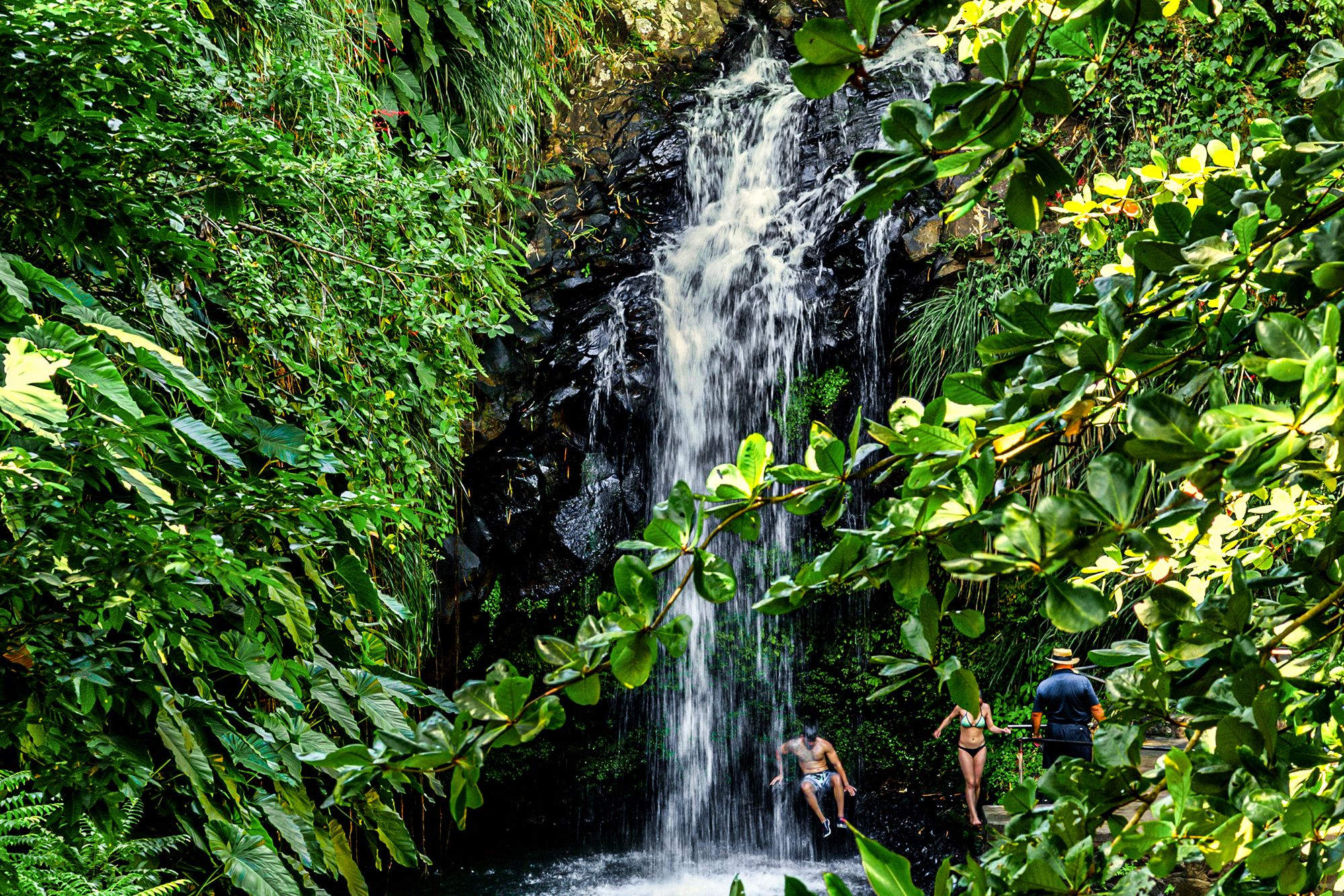 Annandale Falls Grenada Tour