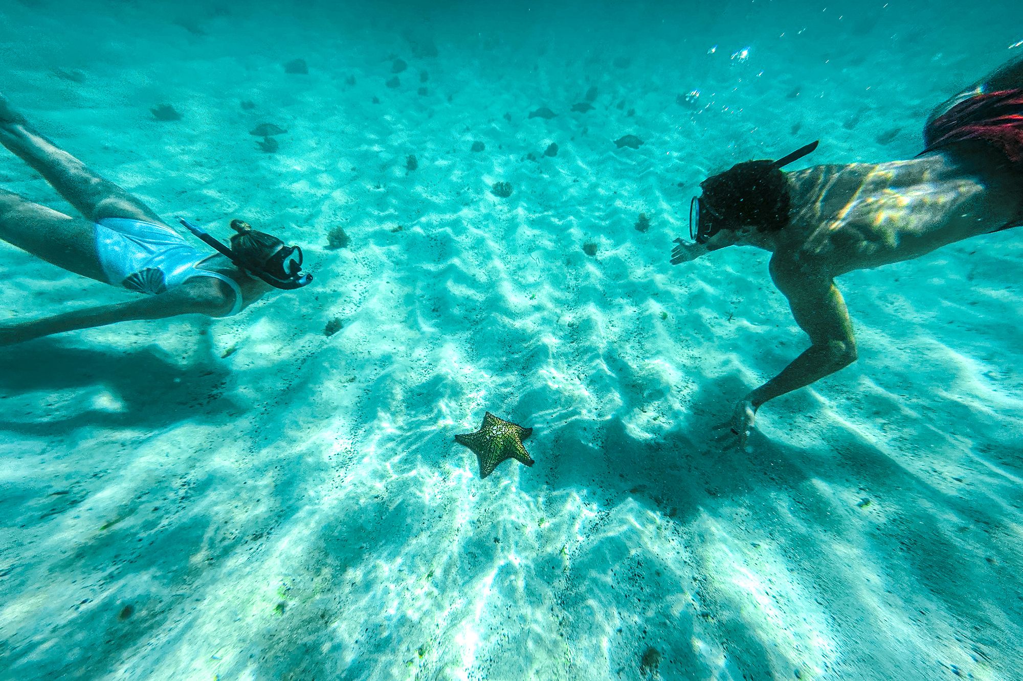 Saint Vincent Underwater Snorkeling Couple Starfish