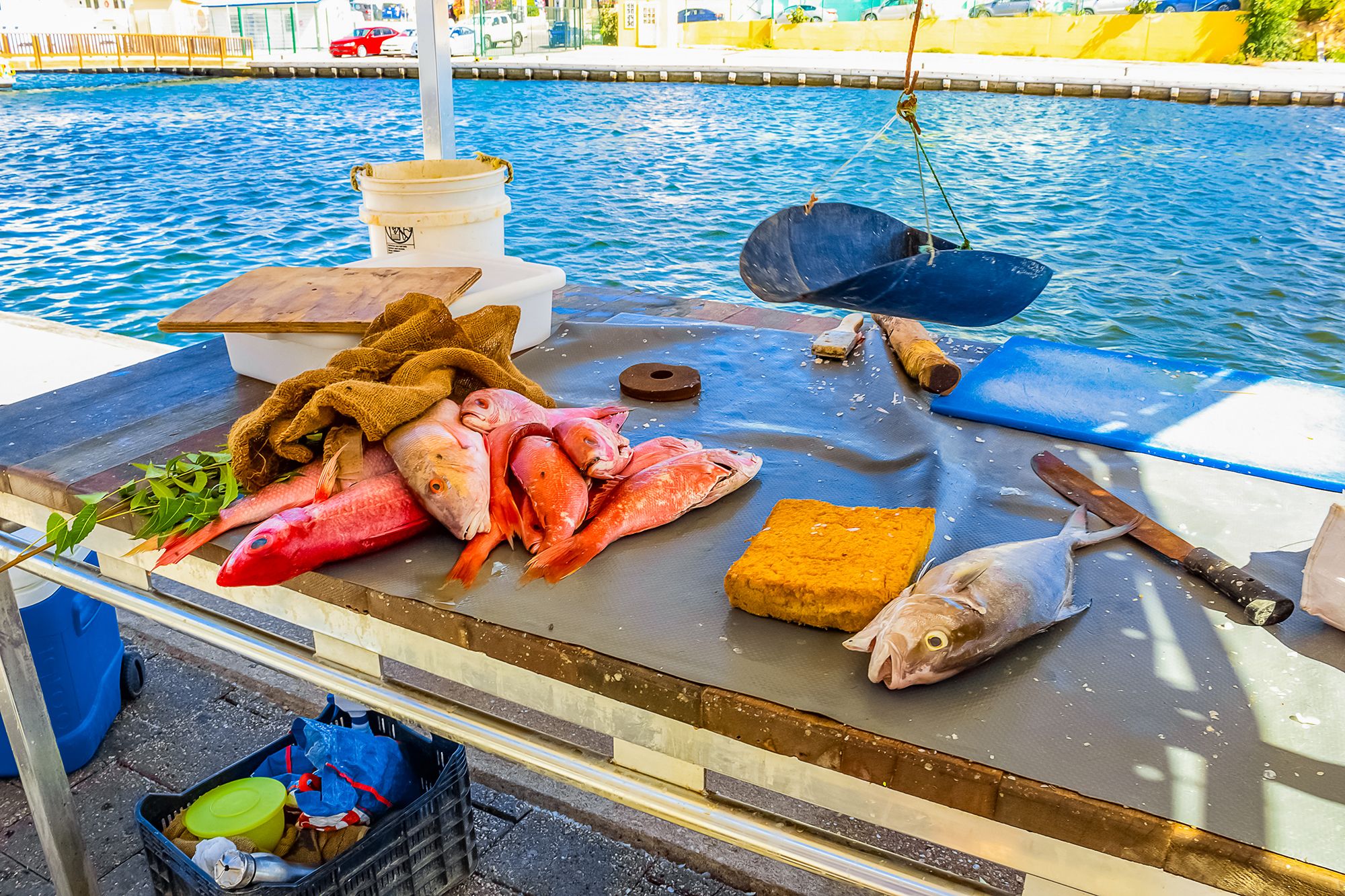 Curacao Food Fresh Seafood