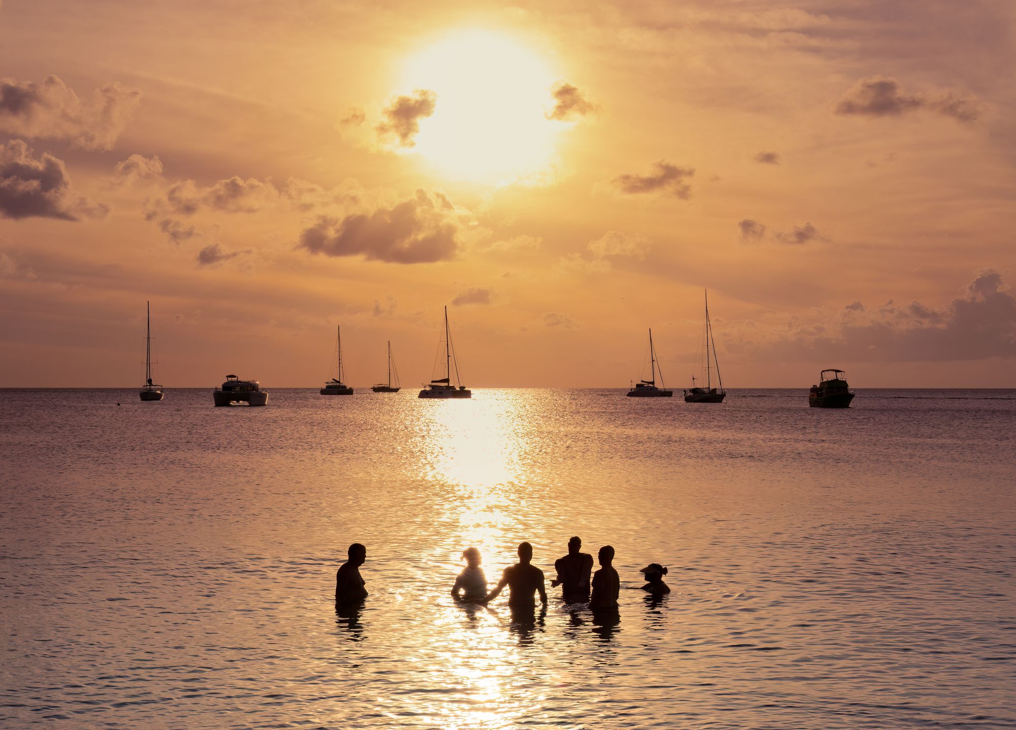 shutterstock_2400709045--1-