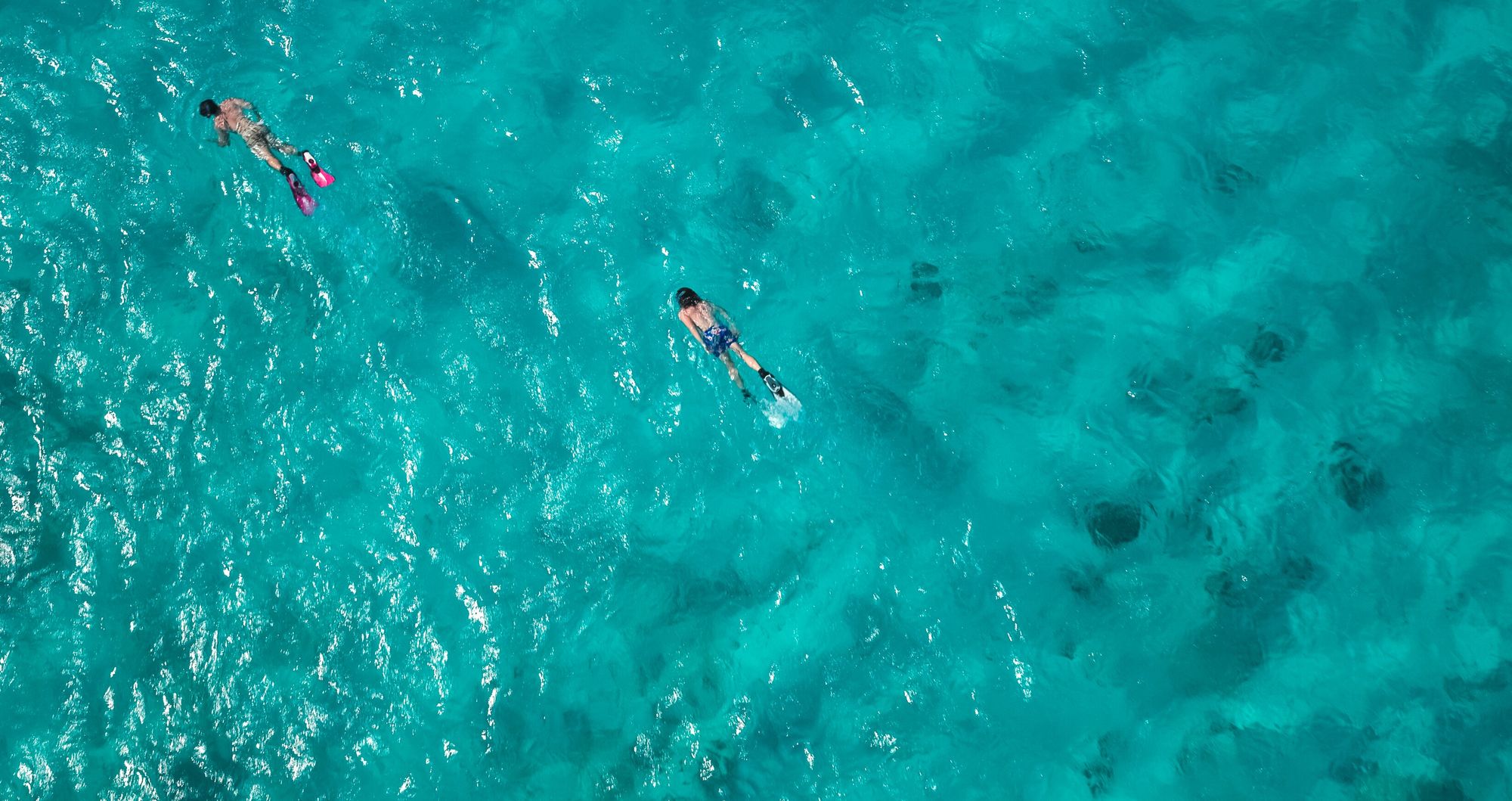 An Unforgettable Snorkeling Experience Awaits In Curaçao