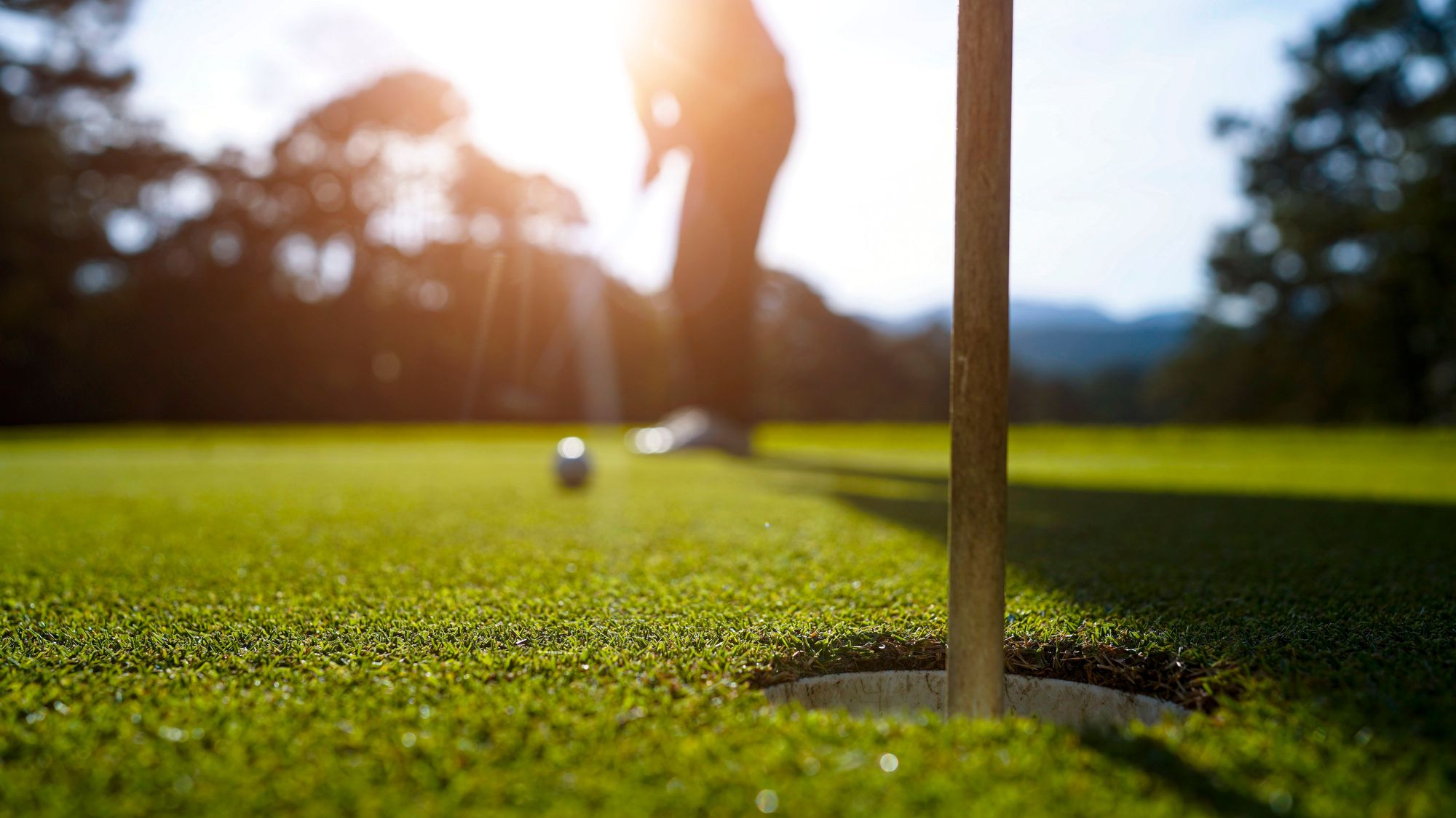 shutterstock_2498292793