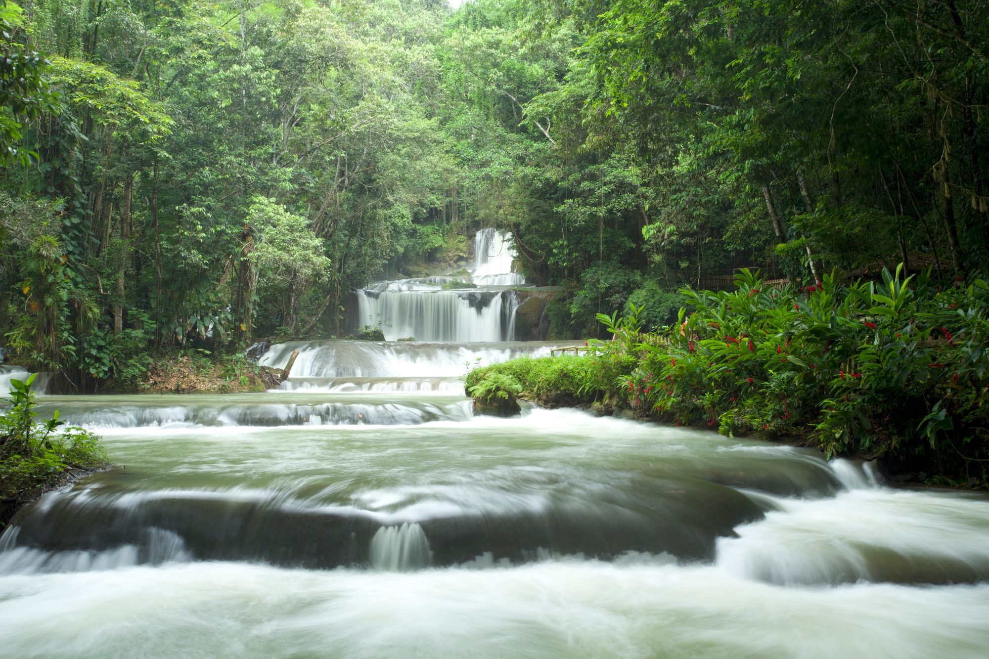 YS Falls, Jamaica: Insider Tips From Local Tour Guides