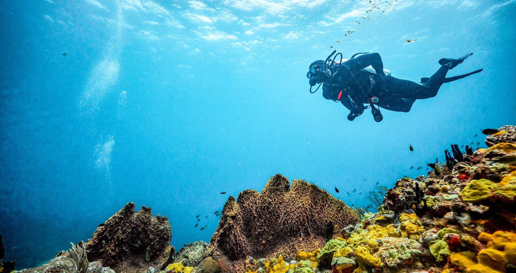Web-Version-Saint-Lucia-Scuba-PADI-Diver-Over-Corals-94