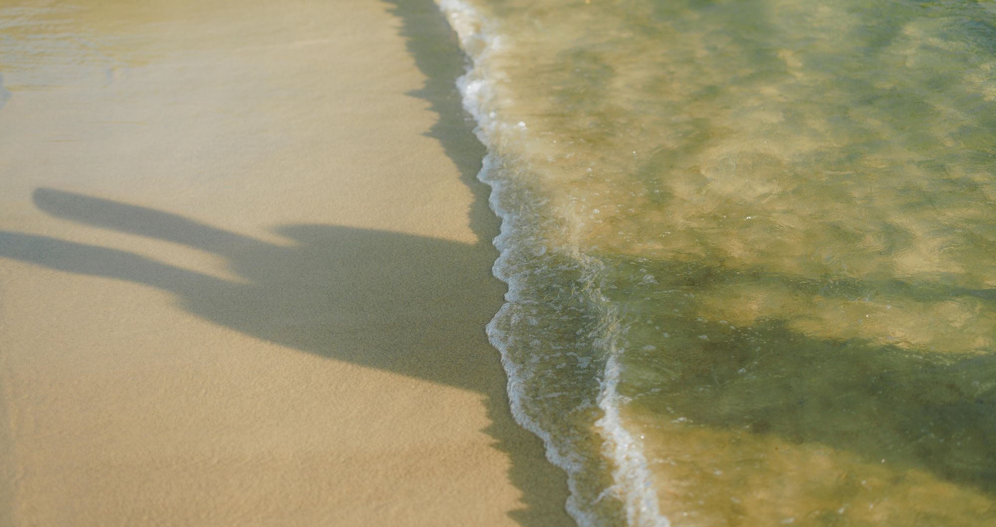 Web-Version-Nature-Shore-Close-up-1-2