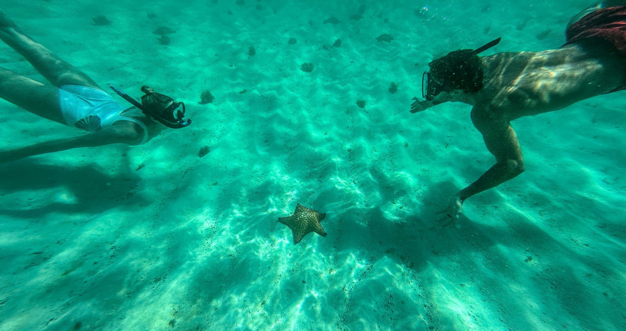 Web-Version-Caribbean-Destination-Couple-Snorkeling-Starfish-1
