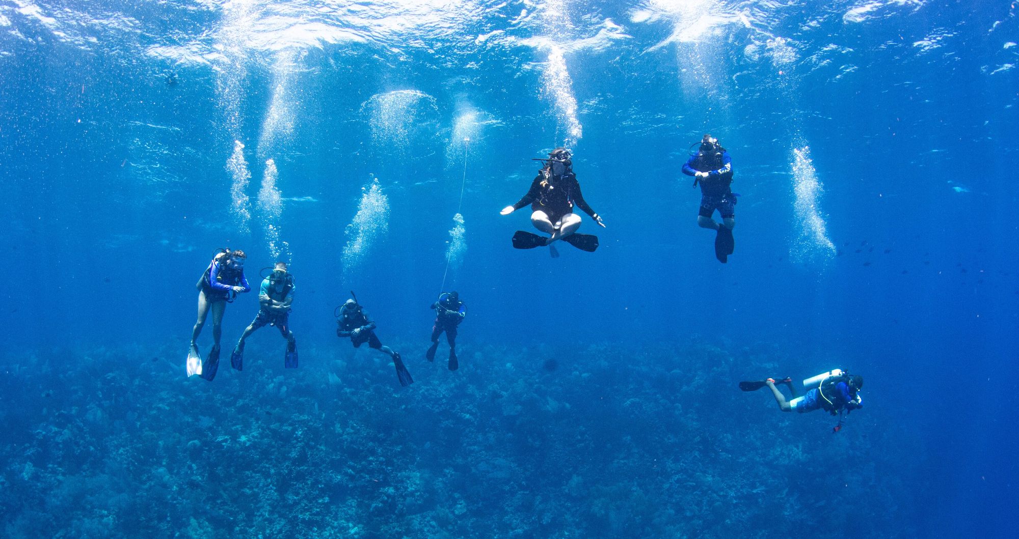 Web-Version-SCR-Dive-Week-Scuba-Diving-152