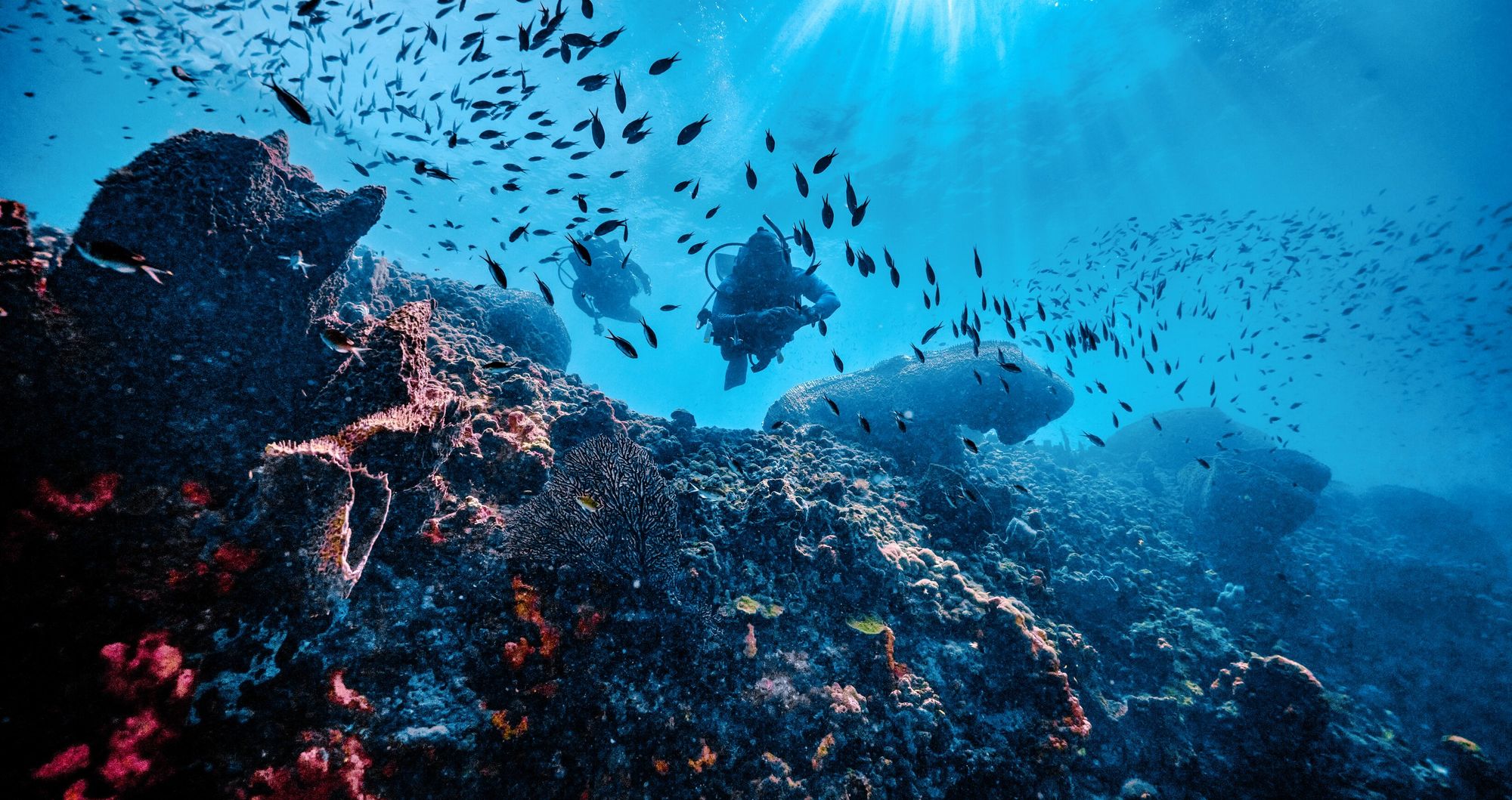 Web-Version-Caribbean-Scuba-PADI-Two-Divers-Over-Corals-17