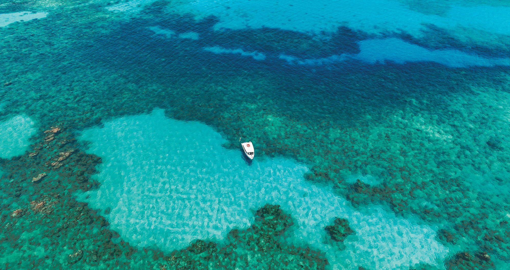 Web-Version-SDR-Drone-Watersports-Dive-Boat-1