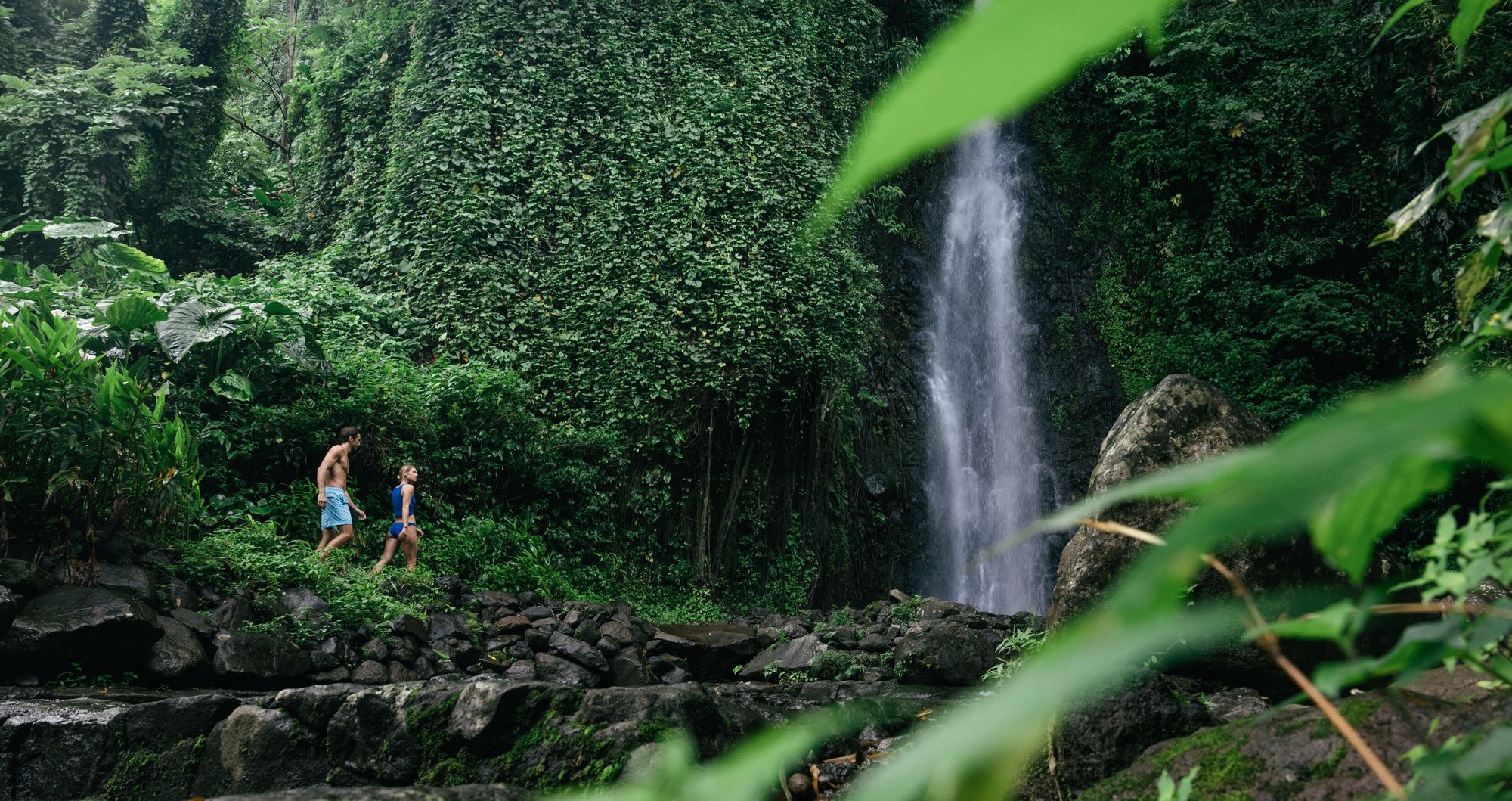 Web-Version-SSV---Destination---Dark-View-Falls-2