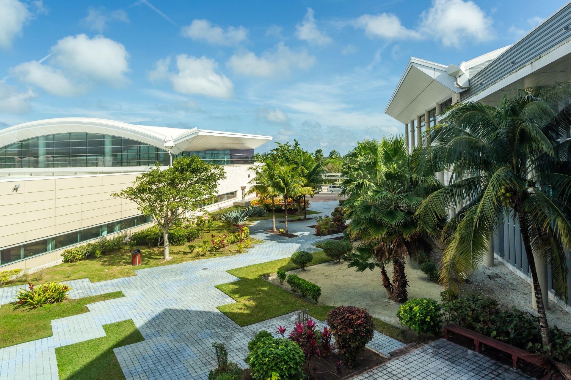 victoria-ditkovsky-shutterstock